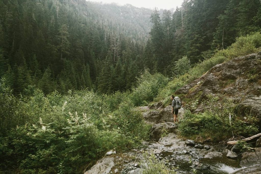 Hiking in a coastal temperate rainforest of british columbia